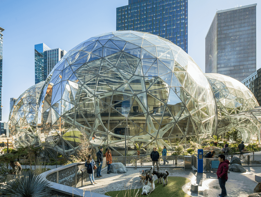 Amazon Spheres.